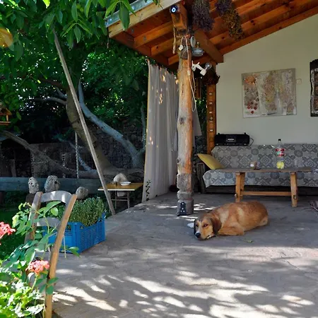 Country house Art House With Big Garden Gabarevo