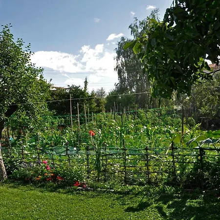 Art House With Big Garden Country house *