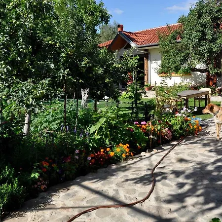 Country house Art House With Big Garden *